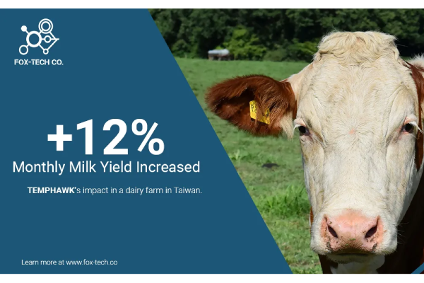 AI Accessibility Article